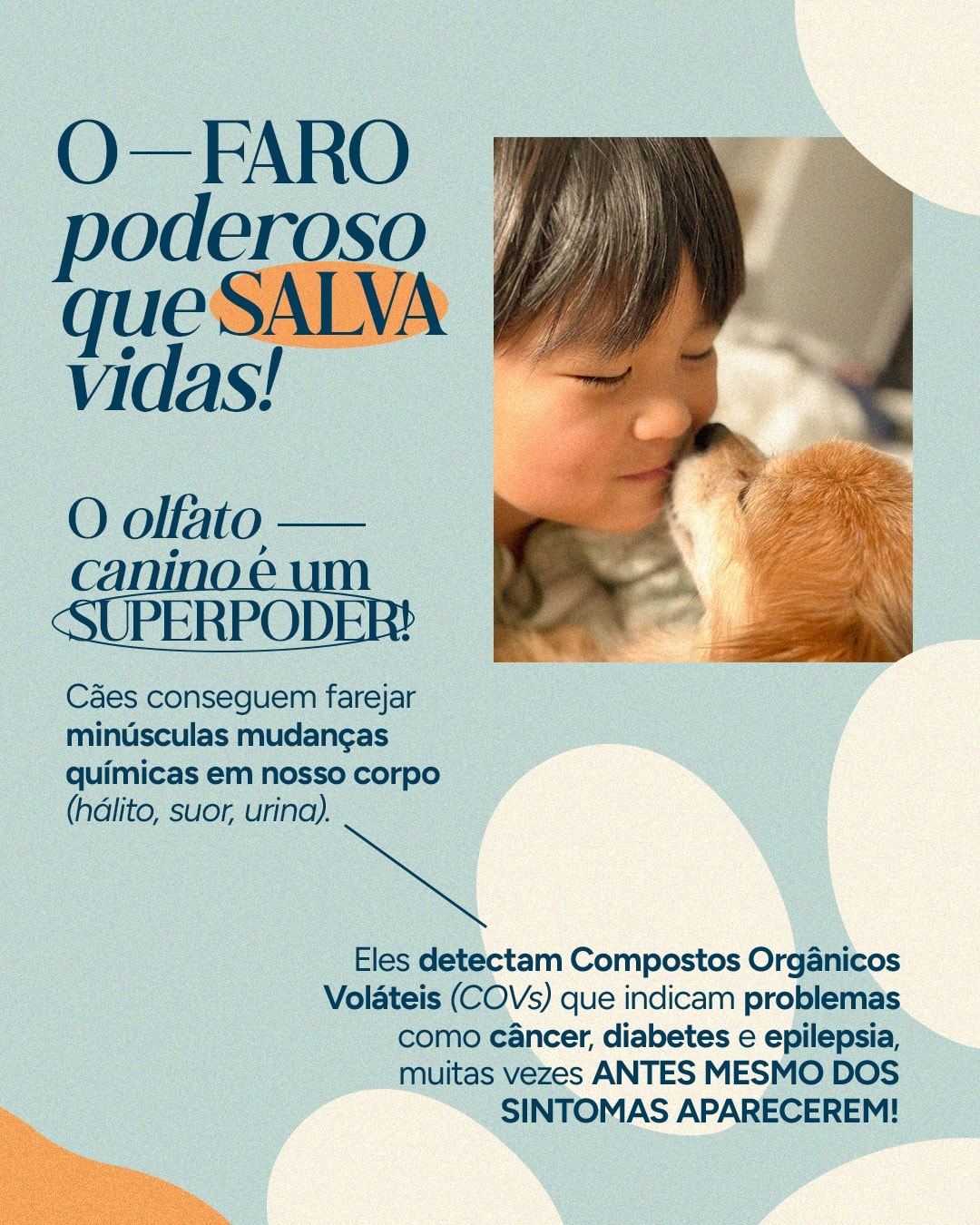 Explicação sobre como cães detectam mudanças químicas no corpo humano do projeto VETTITUDE