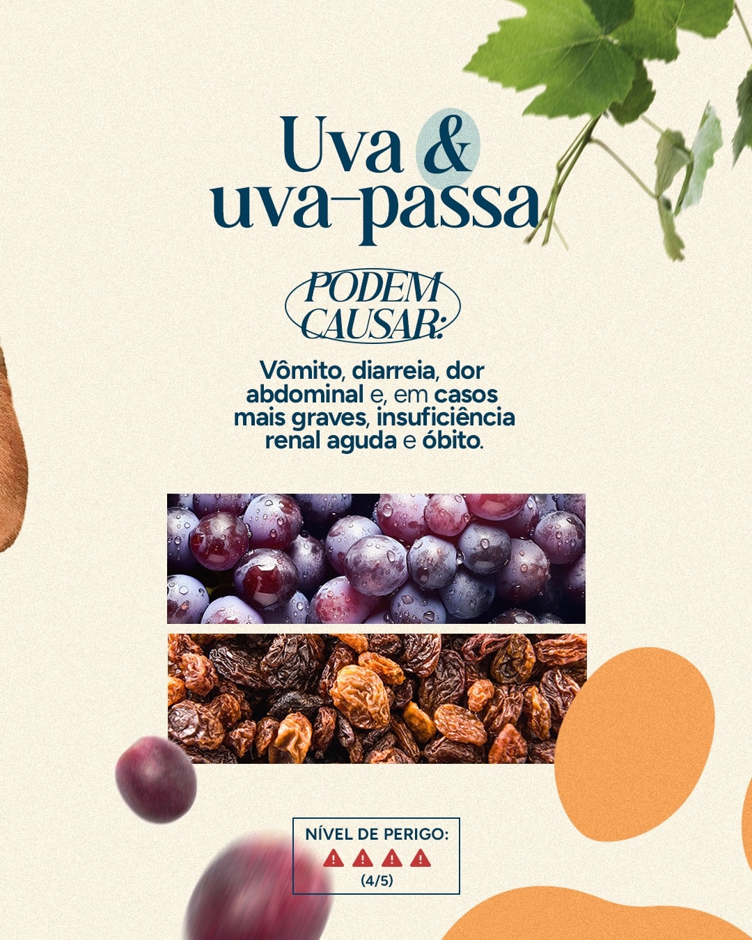 Alerta sobre os riscos de uvas e uvas-passas para pets do projeto VETTITUDE