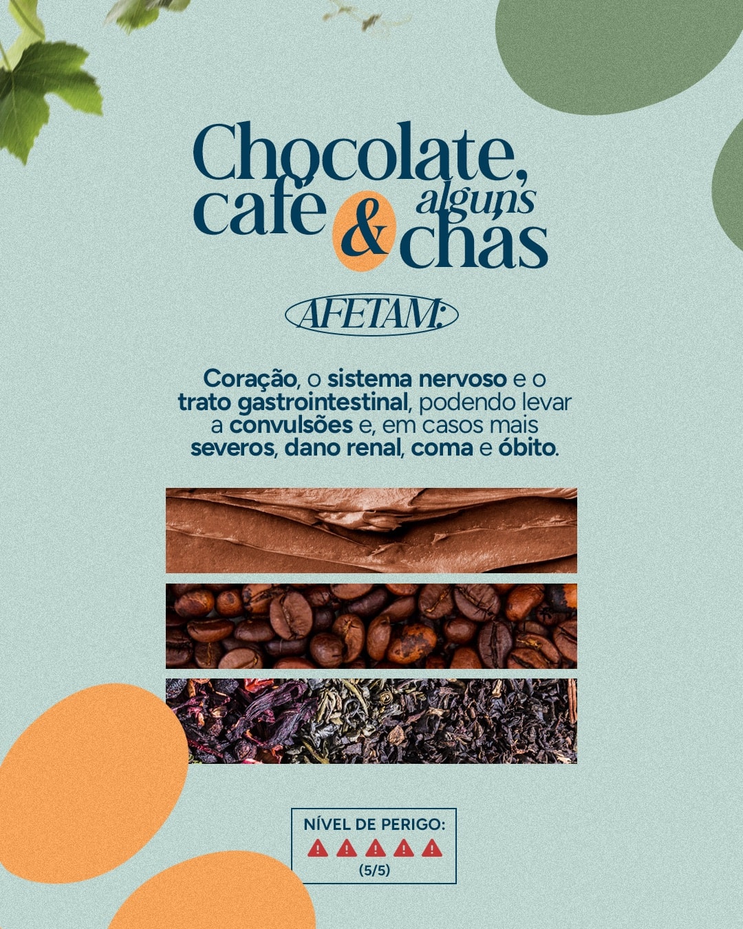 Alerta sobre chocolate, café e chás para pets do projeto VETTITUDE