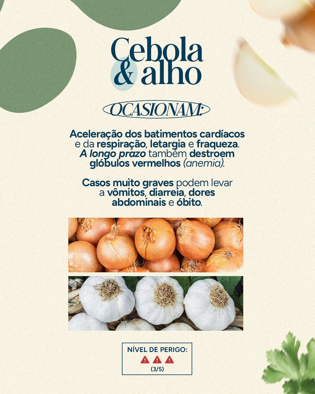 Alerta sobre cebola e alho para pets do projeto VETTITUDE