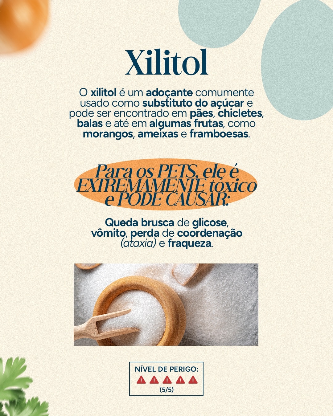 Alerta sobre os riscos do xilitol para pets do projeto VETTITUDE