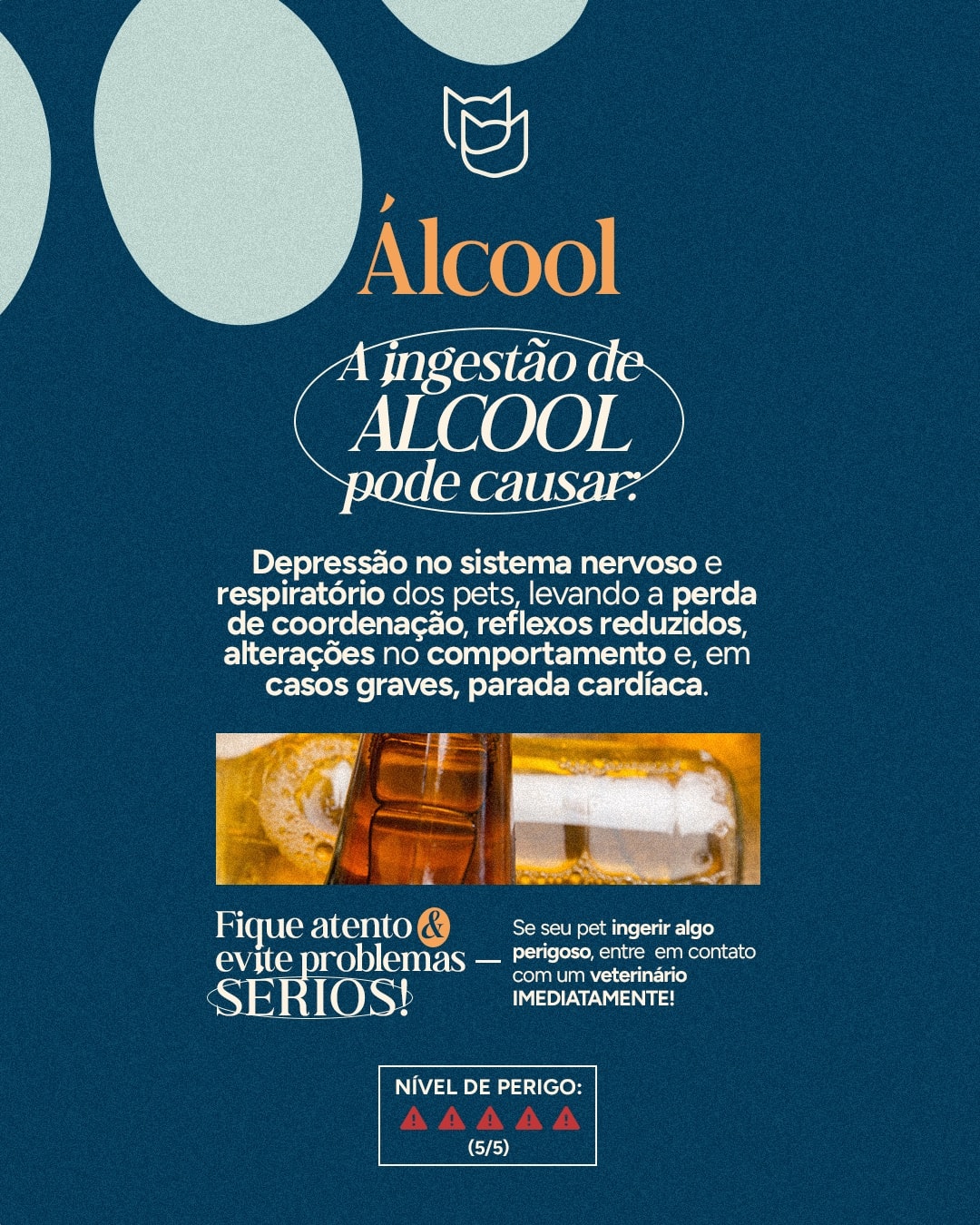 Alerta sobre os riscos da ingestão de álcool por pets do projeto VETTITUDE