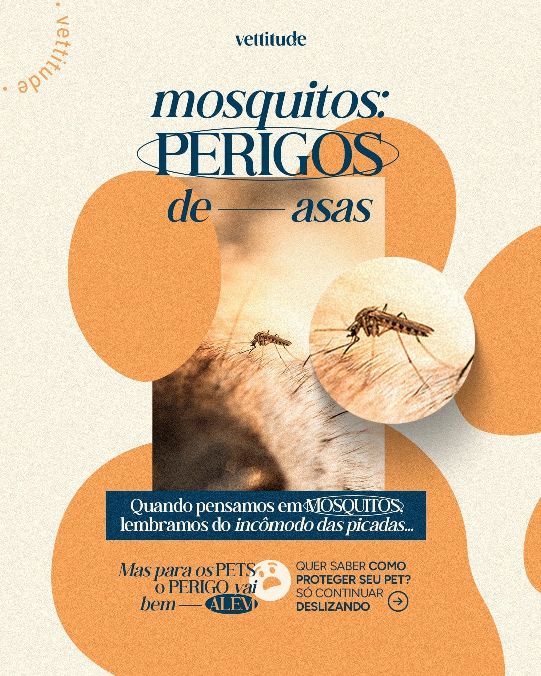 Capa sobre doenças transmitidas por mosquitos aos pets do projeto VETTITUDE
