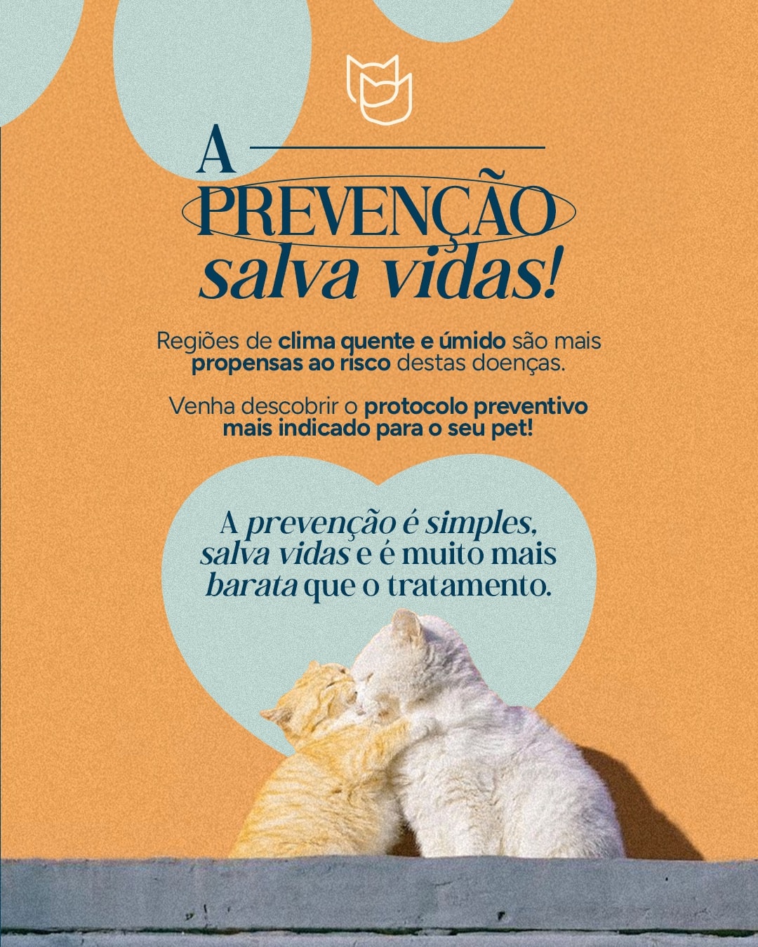 Encerramento sobre prevenção contra mosquitos do projeto VETTITUDE