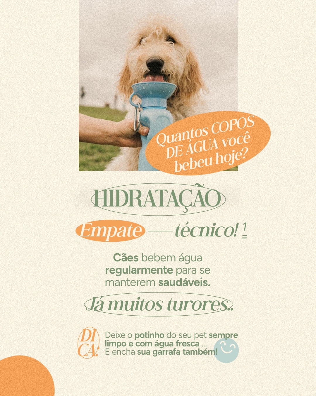 Comparação sobre hábitos de hidratação de pets e humanos do projeto VETTITUDE