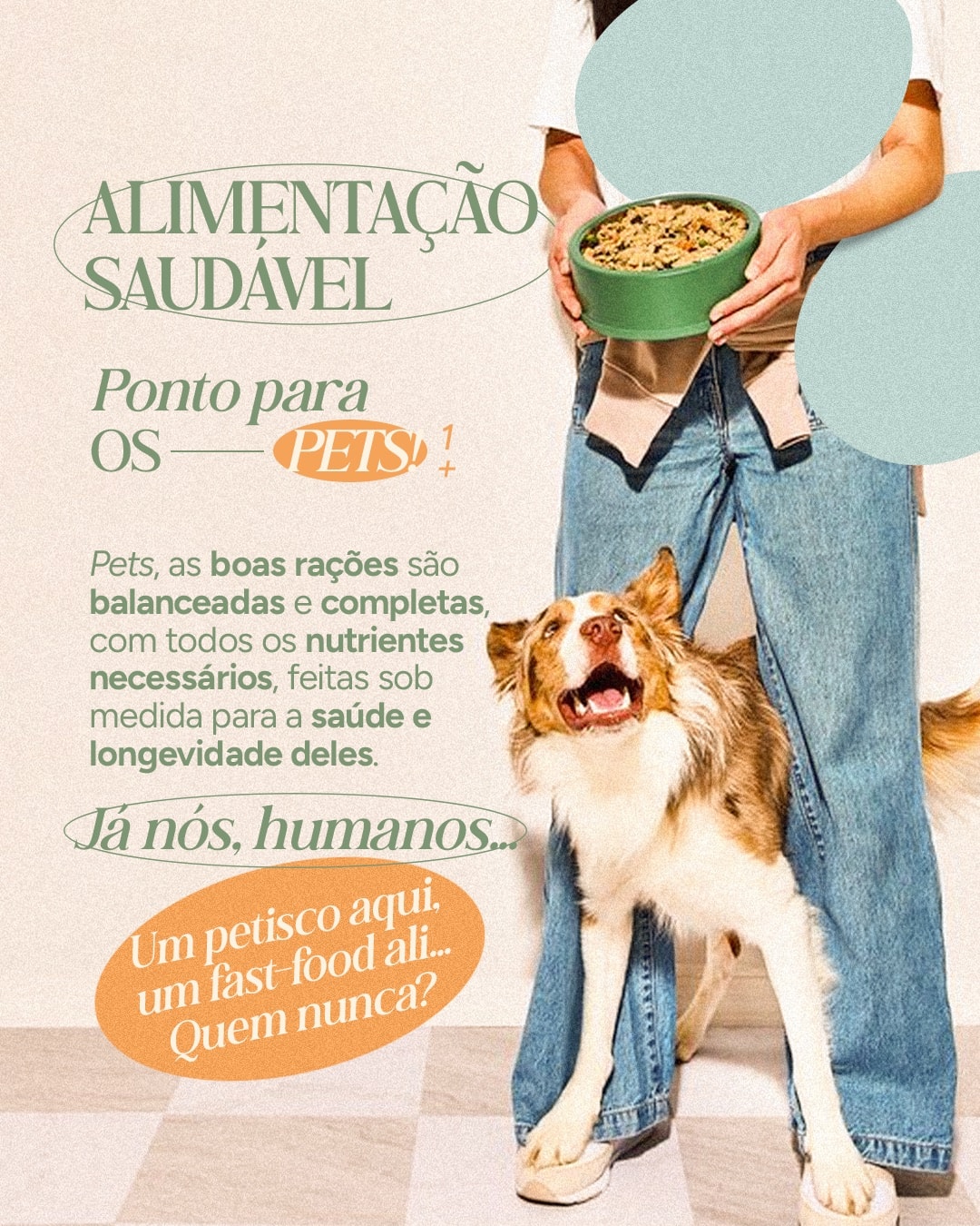 Comparação sobre alimentação saudável de pets e humanos do projeto VETTITUDE