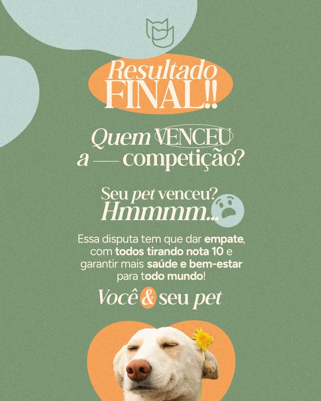 Resultado da comparação de cuidados entre pets e humanos do projeto VETTITUDE