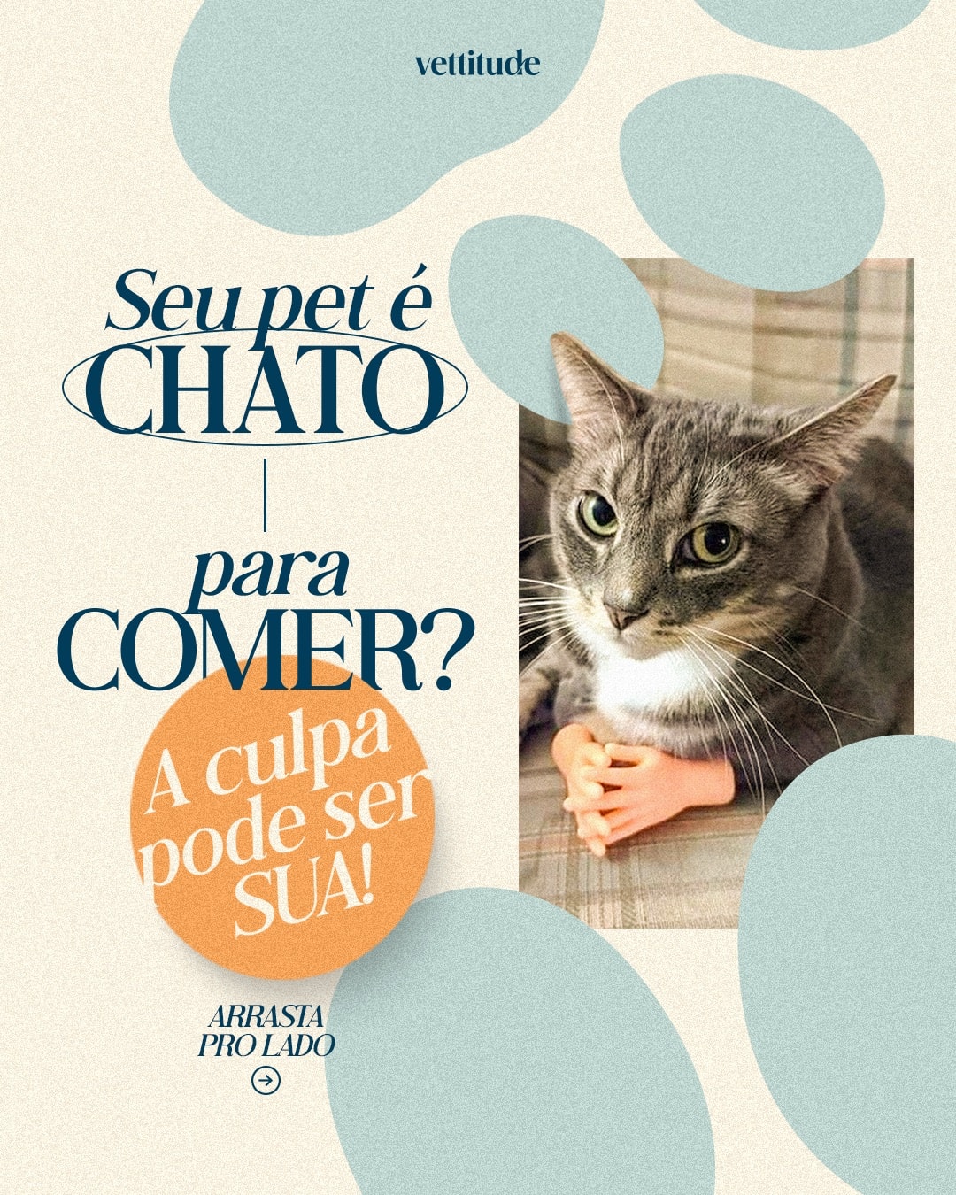 Capa sobre seletividade alimentar em pets do projeto VETTITUDE