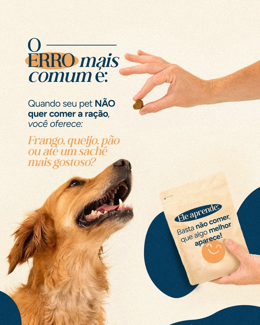 Exemplo de como alimentos mais gostosos reforçam a seletividade do projeto VETTITUDE