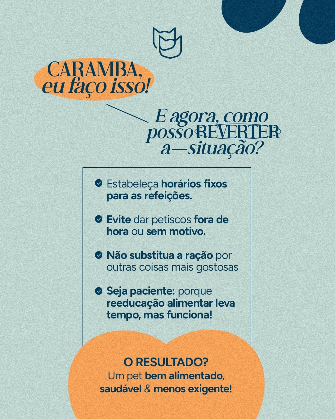 Orientações para reverter a seletividade alimentar do pet do projeto VETTITUDE